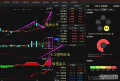 宏和科技(603256)强势涨停！H股发行+业绩预增主力